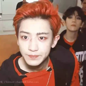 吴世勋摸摸大1 profile image