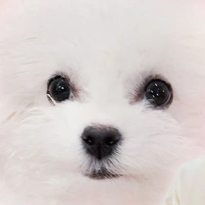 TY0NDS profile image