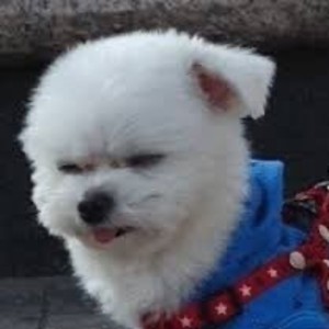 젓가락 profile image