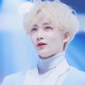 svt천사들 profile image