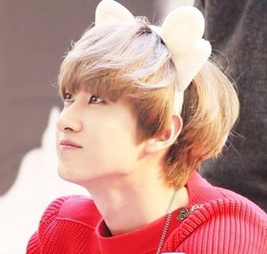 EoppaD profile image