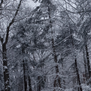 Arrishedpotatoe profile image