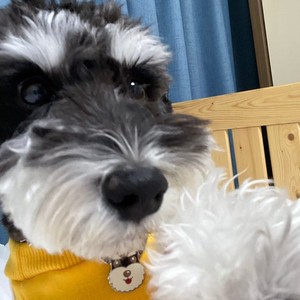 잉깅맥깅 profile image