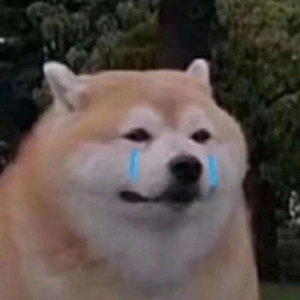 偏爱97 profile image