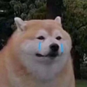 偏爱92 profile image