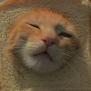 guwumi profile image