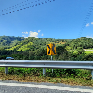 역삼동물만두 profile image