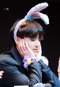 보라한 profile image