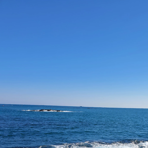 투표안해요 profile image