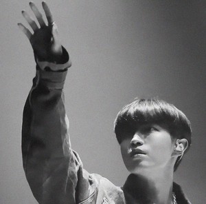 짼뽈's profile image