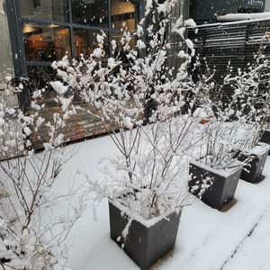 Cyeol8 profile image