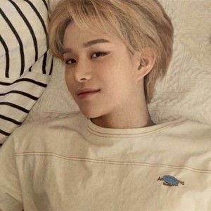 김청순포카리정우 profile image