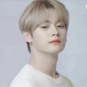 پیشی‌لینو profile image