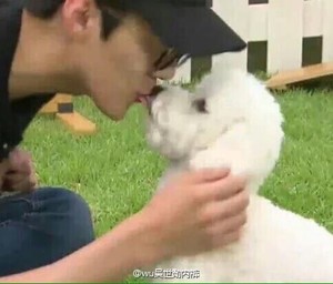 sehunim profile image