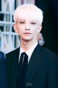 우아우아우아우아우아해 profile image