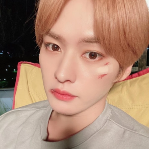 skzleeknows profile image