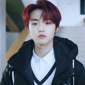 llingWT412 profile image