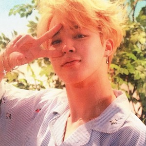 안마 profile image