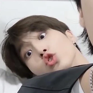 폴렡테 profile image