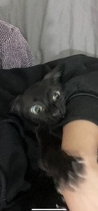 bundlellama profile image