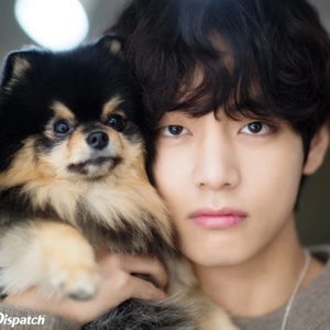 태형연탄보라해 profile image