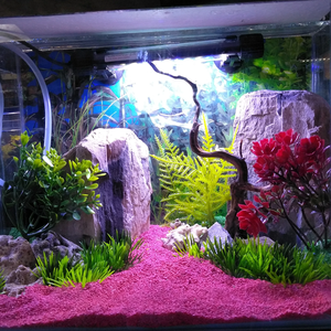 evtria profile image