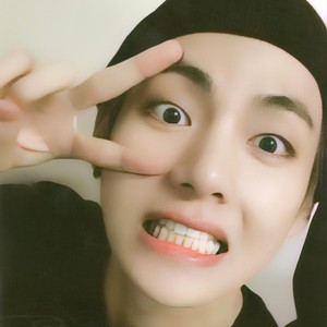 진연두부 profile image