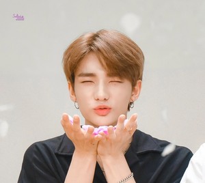 kkamisleftpaw profile image