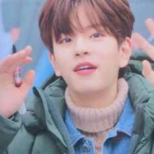 PuppyMoo profile image