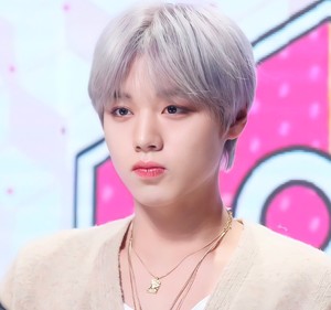 Nieeely profile image