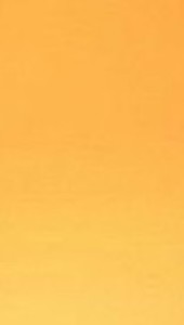 블루베리토끼 profile image