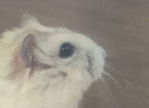 Artist0985 profile image