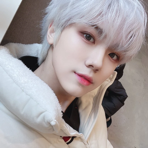 Dolphmin profile image