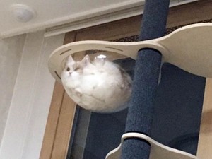 겨우리 profile image