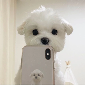 조용하자 profile image