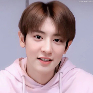 찬열익스프레스 profile image