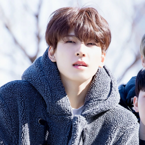 당근을쏘고가라 profile image