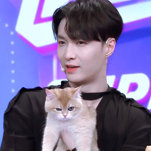 Cinnabar5 profile image