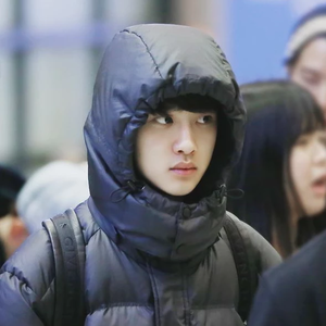 Cinnabar2 profile image