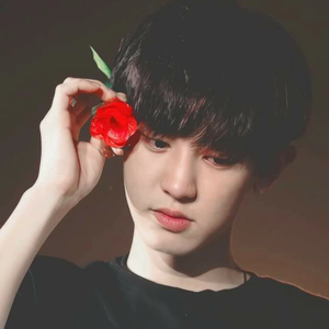 Cinnabar1 profile image