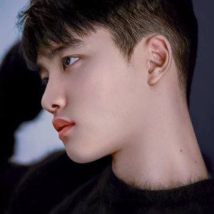 도경수솔로2집존버 profile image