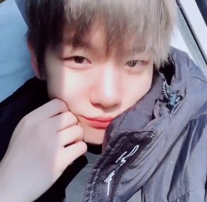 됴됴한백현이 profile image