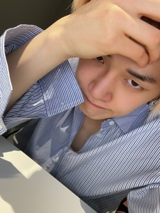 Hotdogs profile image