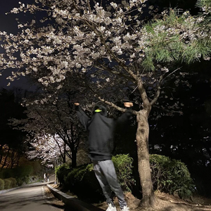 꽃밭 profile image