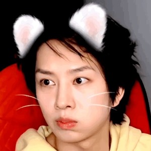 wen03060710 profile image