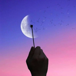 c3c799462aa37d2a48ae984547362498 profile image