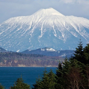 anelit2 profile image