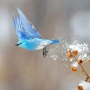 RedYouth profile image