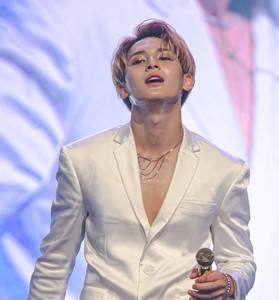 Wwikidy profile image