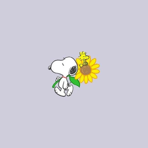 멜로디와캐럿들 profile image